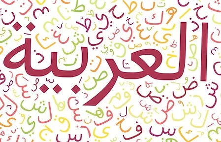 الأولى باك آداب وعلوم إنسانية    بحر الوافر